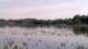 Les Landes-Genusson So. 26.4.