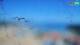 Susak So. 26.4.