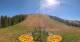 Malga Alta di Sopra So. 26.4.