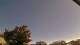 Carrum So. 26.4.
