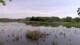 Les Landes-Genusson So. 26.4.