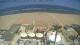 Cattolica So. 26.4.