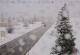 Silverton, Colorado So. 26.4.