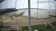 Brightlingsea So. 26.4.