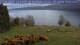 Loch Ness Mo. 27.4.