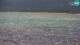 La Caletta (Sardinien) Mo. 27.4.