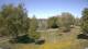 Steinbrunn Mo. 27.4.