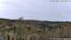 Altenau (Harz) Mo. 27.4.
