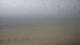 Hörnum (Sylt) Mo. 27.4.