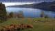 Loch Ness Di. 28.4.
