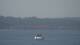 Saint-Tropez Di. 28.4.