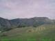 Cantalupo Ligure Di. 28.4.