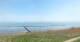 Nebel (Amrum) Di. 28.4.