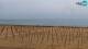 Bibione Di. 28.4.
