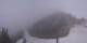 Enumclaw, Washington Di. 28.4.