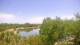 Lakewood Ranch, Florida Mi. 29.4.