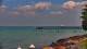 Bokeelia, Florida Mi. 29.4.