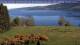 Loch Ness Mi. 29.4.