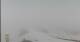 Chamois Mi. 29.4.