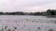 Les Landes-Genusson Mi. 29.4.