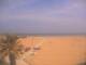 Rimini Mi. 29.4.