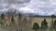 Stetsonville, Wisconsin Mi. 29.4.