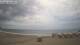 San Agustin (Gran Canaria) Mi. 29.4.