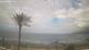Playa de las Americas (Teneriffa) Mi. 29.4.