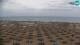 Bibione Mi. 29.4.