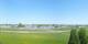 Altenrhein Mi. 29.4.