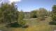 Steinbrunn Mi. 29.4.