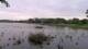Les Landes-Genusson Mi. 29.4.