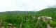 Gatlinburg, Tennessee Mi. 29.4.