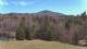 Shrewsbury, Vermont Mi. 29.4.