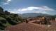 Ferentino Mi. 29.4.