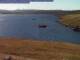 Vidlin (Shetland) Mi. 29.4.