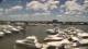Naples, Florida Mi. 29.4.