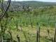 Feuerbach Do. 30.4.