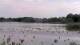 Les Landes-Genusson Do. 30.4.