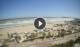 Riccione Do. 30.4.