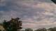Carrum Do. 30.4.