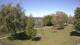 Steinbrunn Do. 30.4.