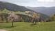 Arriach Do. 30.4.