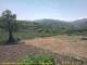 Cantalupo Ligure Fr. 1.5.