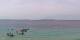 Le Lavandou Fr. 1.5.
