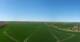 Kap Arkona Fr. 1.5.