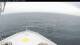 Norwegian Bliss Fr. 1.5.