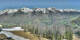 Ahrntal Fr. 1.5.