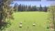 Todtnauberg Fr. 1.5.