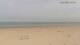 Blankenberge Sa. 2.5.